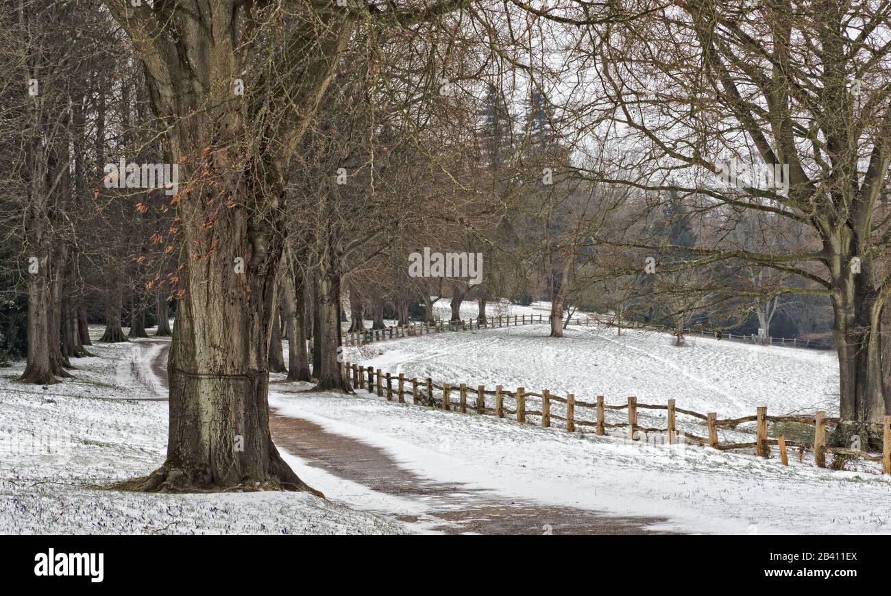 Ein Winter-Szene Stockfoto