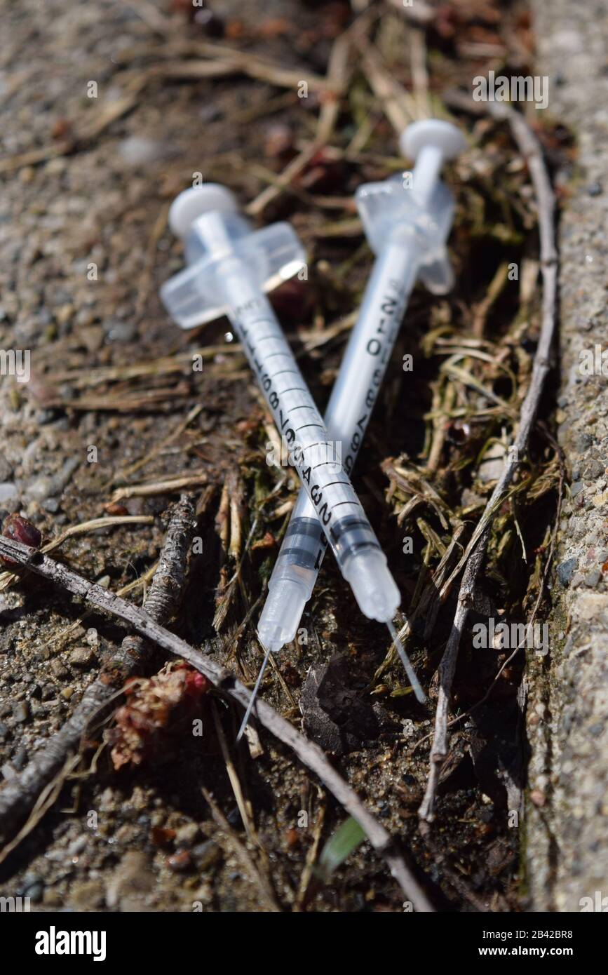 Gebrauchte Nadeln, die in einem öffentlichen Park entsorgt wurden. Opioidkrisenverschmutzung. Gefahr ansteckender Krankheiten Stockfoto