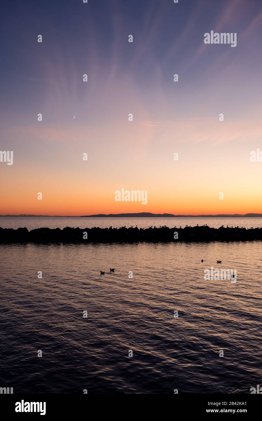 Vertikaler Schuss von Vögeln, die sich auf steinigen Wellenbrecher in der Nähe von White Rock, BC, Kanada versammeln. Der Himmel bei Sonnenuntergang ist rosa, orange, gelb und blau mit einem Neumond. Stockfoto