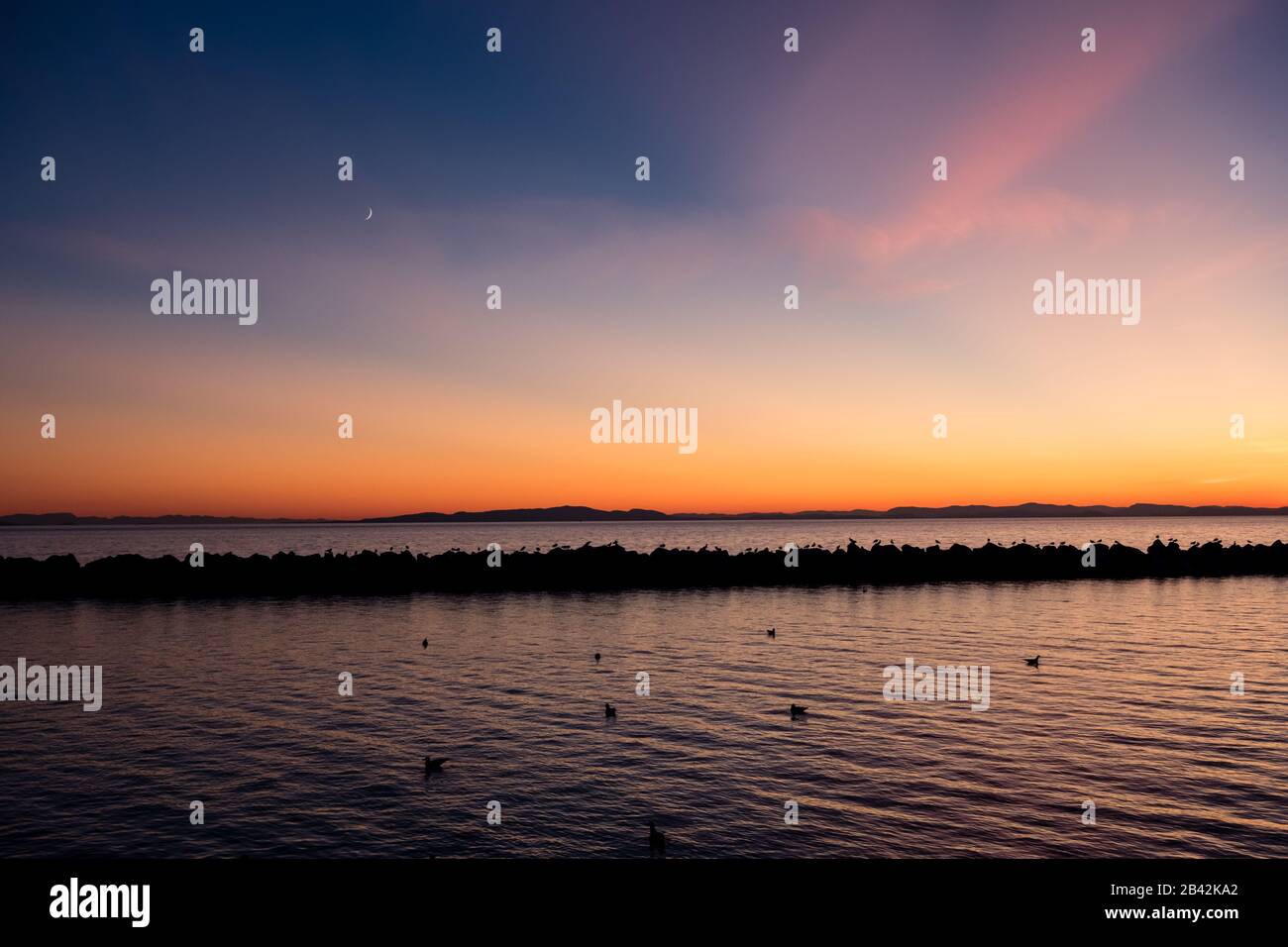 Puffige, rosafarbene Zirruswolken und ein Neumond schweben über einer flammenden SonnenuntergangsSilhouette entfernter Gulf Islands, eines Wellenbrechers und Seevögels. White Rock, BC, Stockfoto