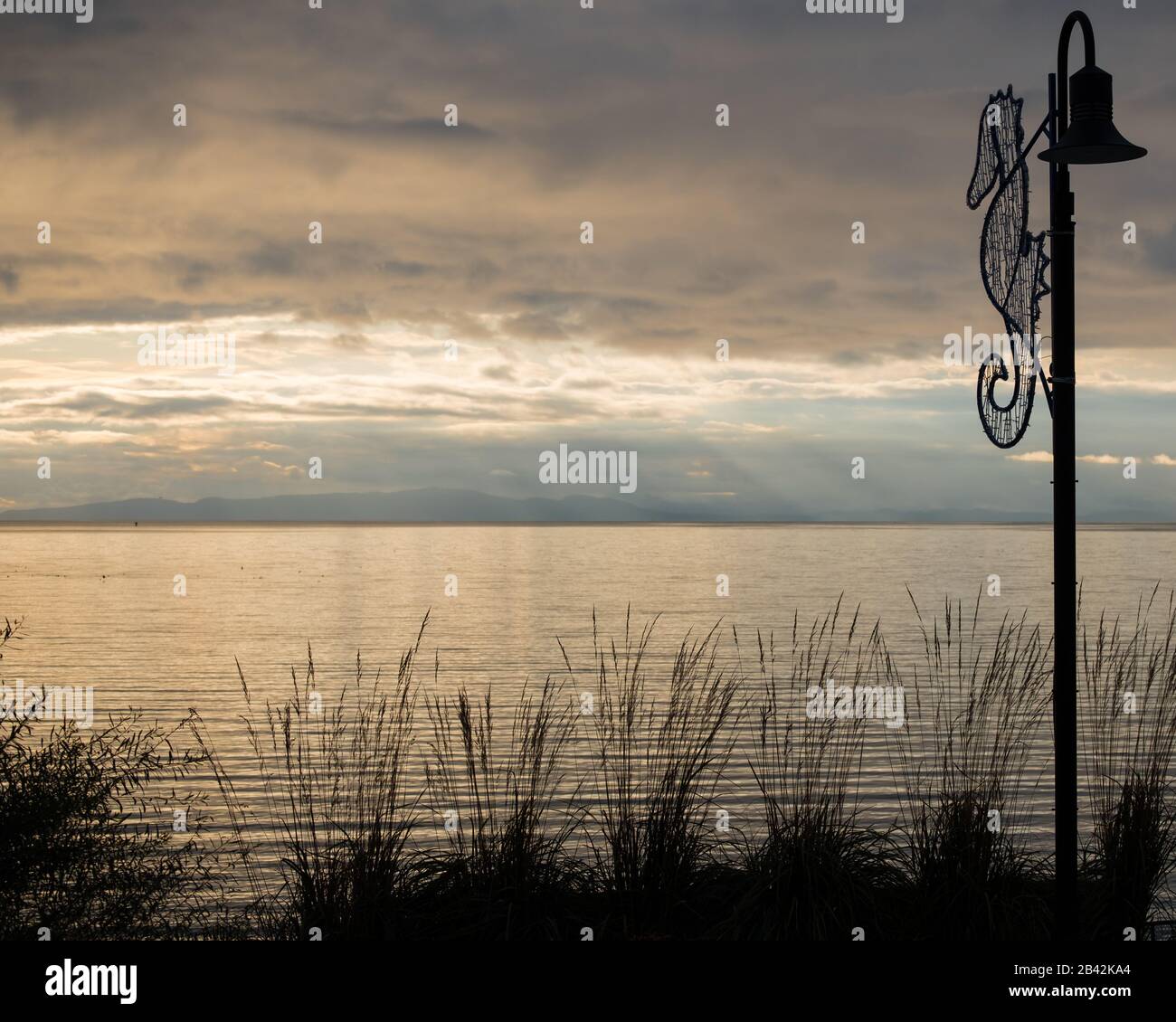 Das Ausräumen in Sturmwolken sendet goldenes Licht in die Gewässer der Semiahmoo Bay, während Gräser und charakteristische Straßenlaterne mit Seepferdchen an der Promenade liegen Stockfoto