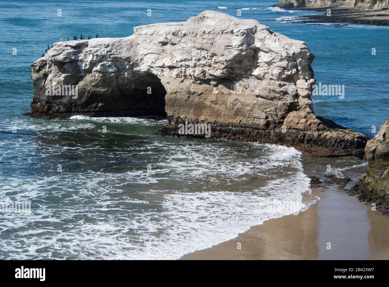 Pazifikküste, Natural Bridges State Park, Santa Crus, Kalifornien Stockfoto