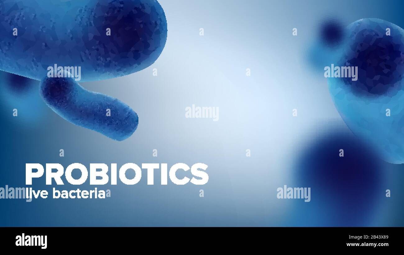 Mikroskopische Probiotika Live Bakterium Banner Vector Stock Vektor