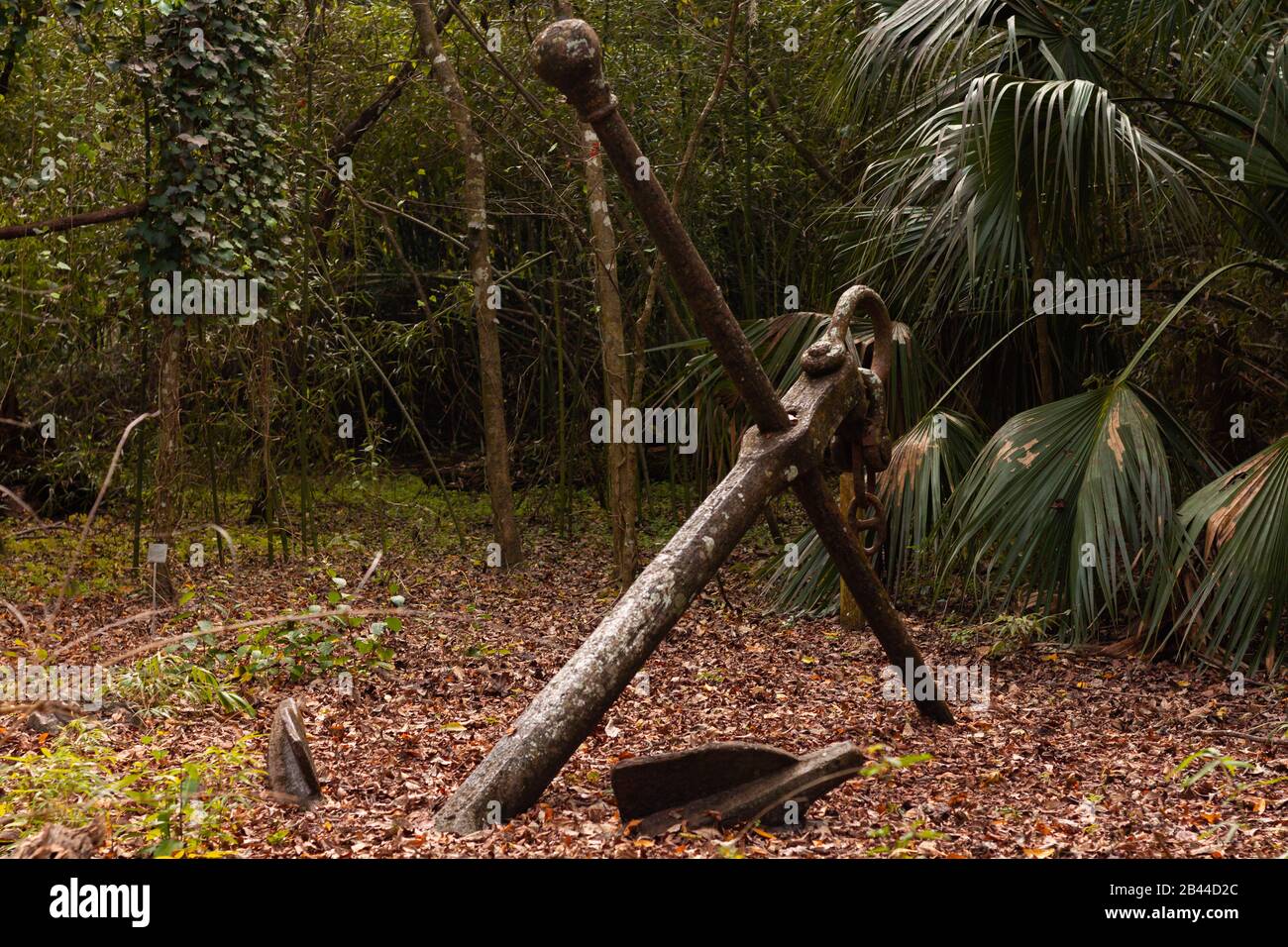 Alter Anker im Wald, bedeckt von Blättern im Boden. Stockfoto