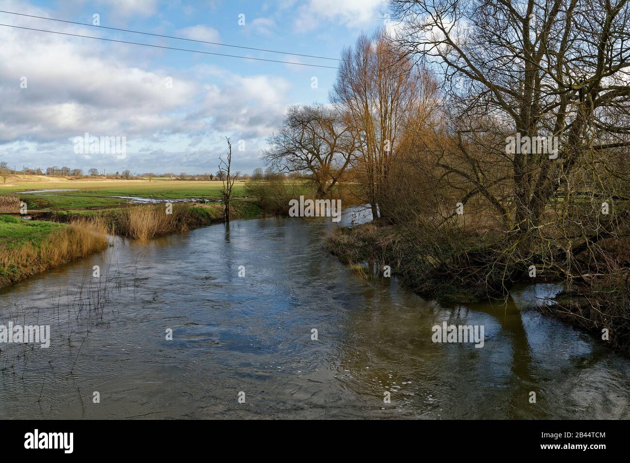 Hoher Wasserstand in River Avon an der Kellaways Bridge, Chippenham, Wiltshire, Großbritannien Stockfoto