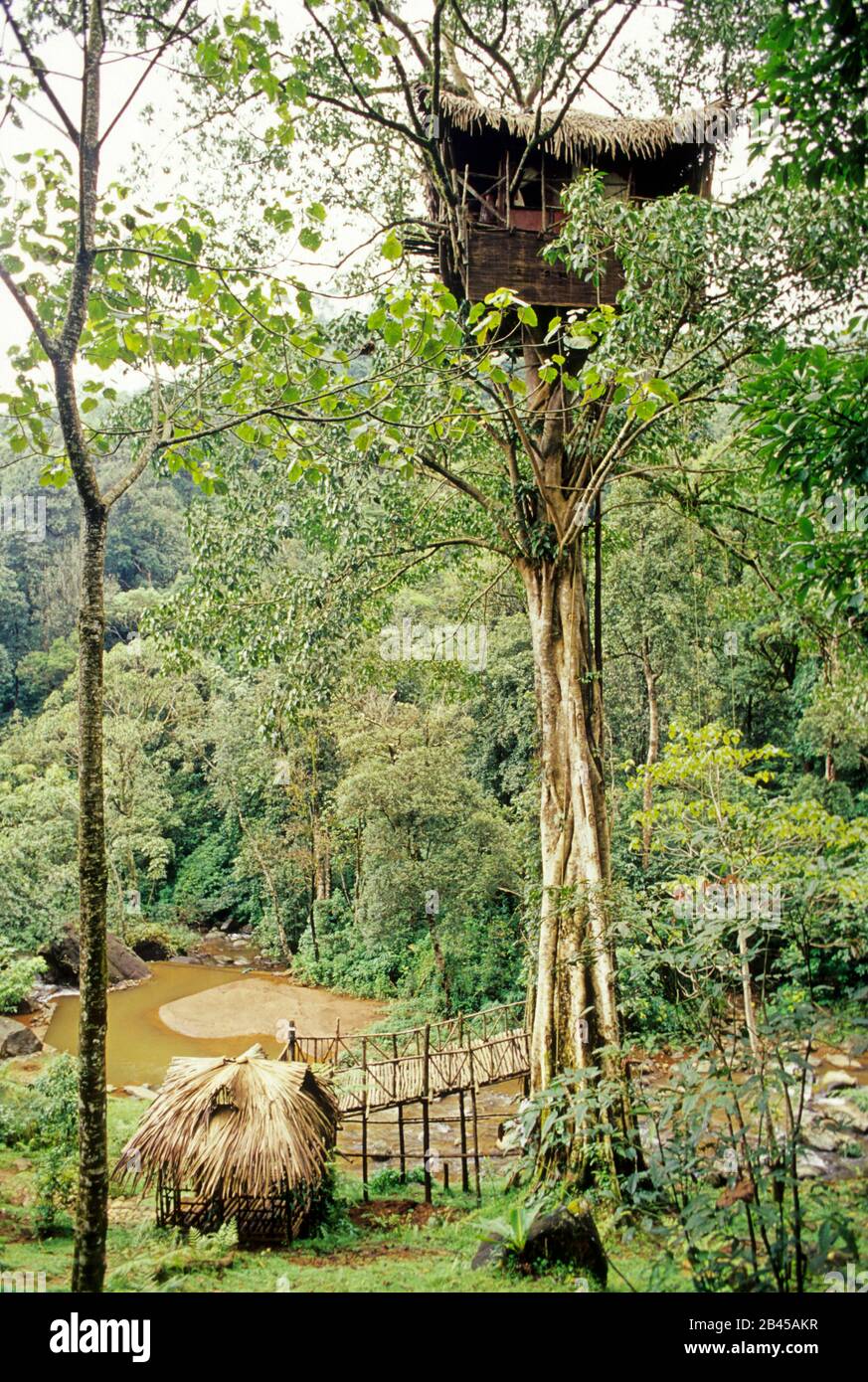 Baumspitze Haus, grüne Magie Naturresort, lakkidi, Lakkidi Dorf, wayanad, kerala, Indien, Asien Stockfoto