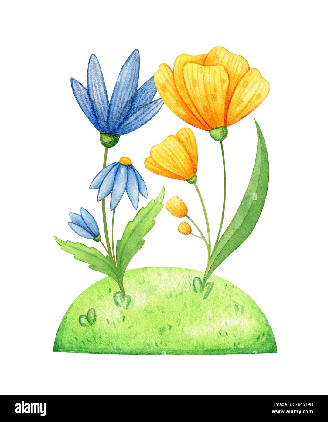 Gelbe und blaue Wildblumen wachsen im Frühjahr auf frischer Wiese. Eine freundliche Aquarelldarstellung für die Gartensaison. Stockfoto