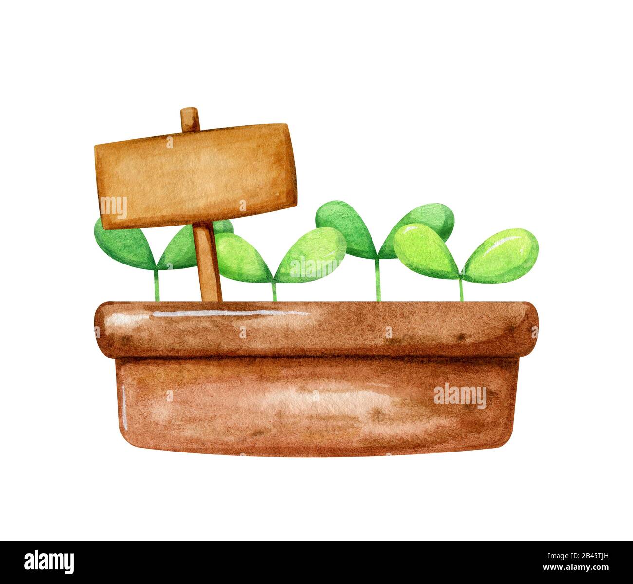 Brauner Topf mit niedlichem kleinen Spruß, darin wachsend, und einem  Namensschild für die Beschriftung. Cartoon handgezeichneter Stil in  Aquarell Stockfotografie - Alamy
