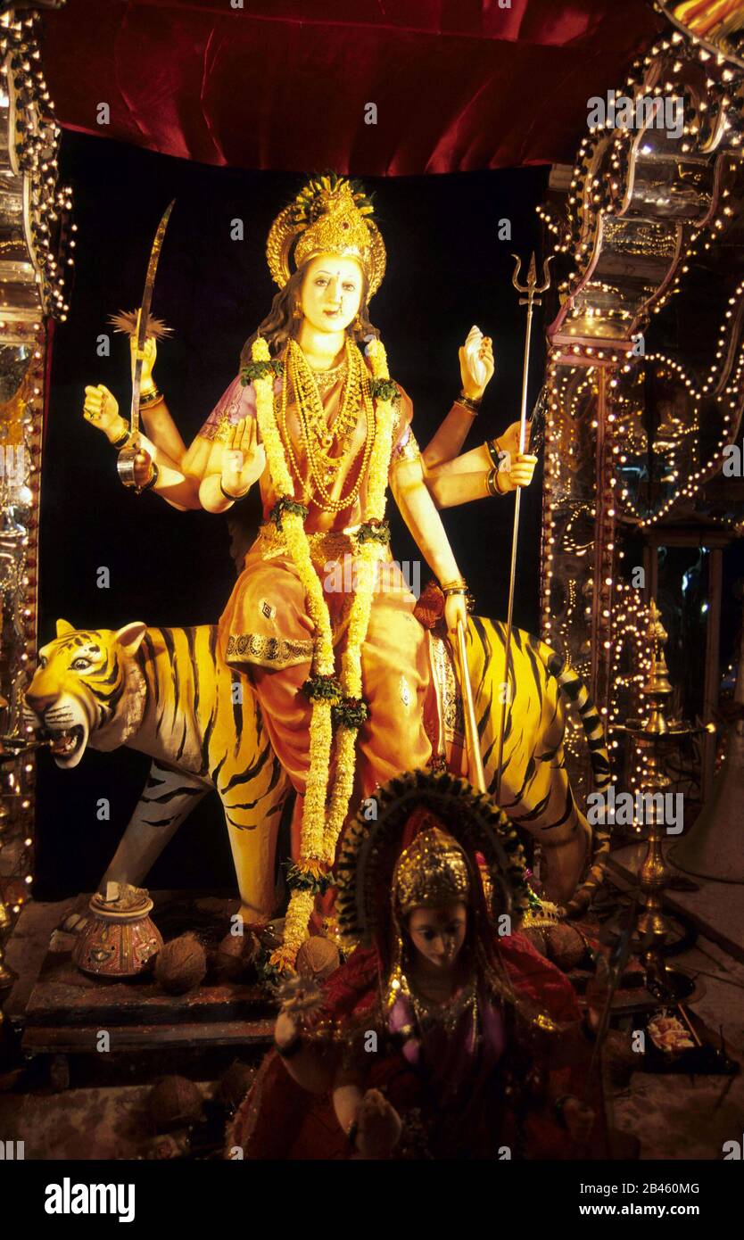 Idol der durga-mata-Göttin, die auf dem Löwen in Dadar in mumbai in maharashtra Indien Asien sitzt Stockfoto