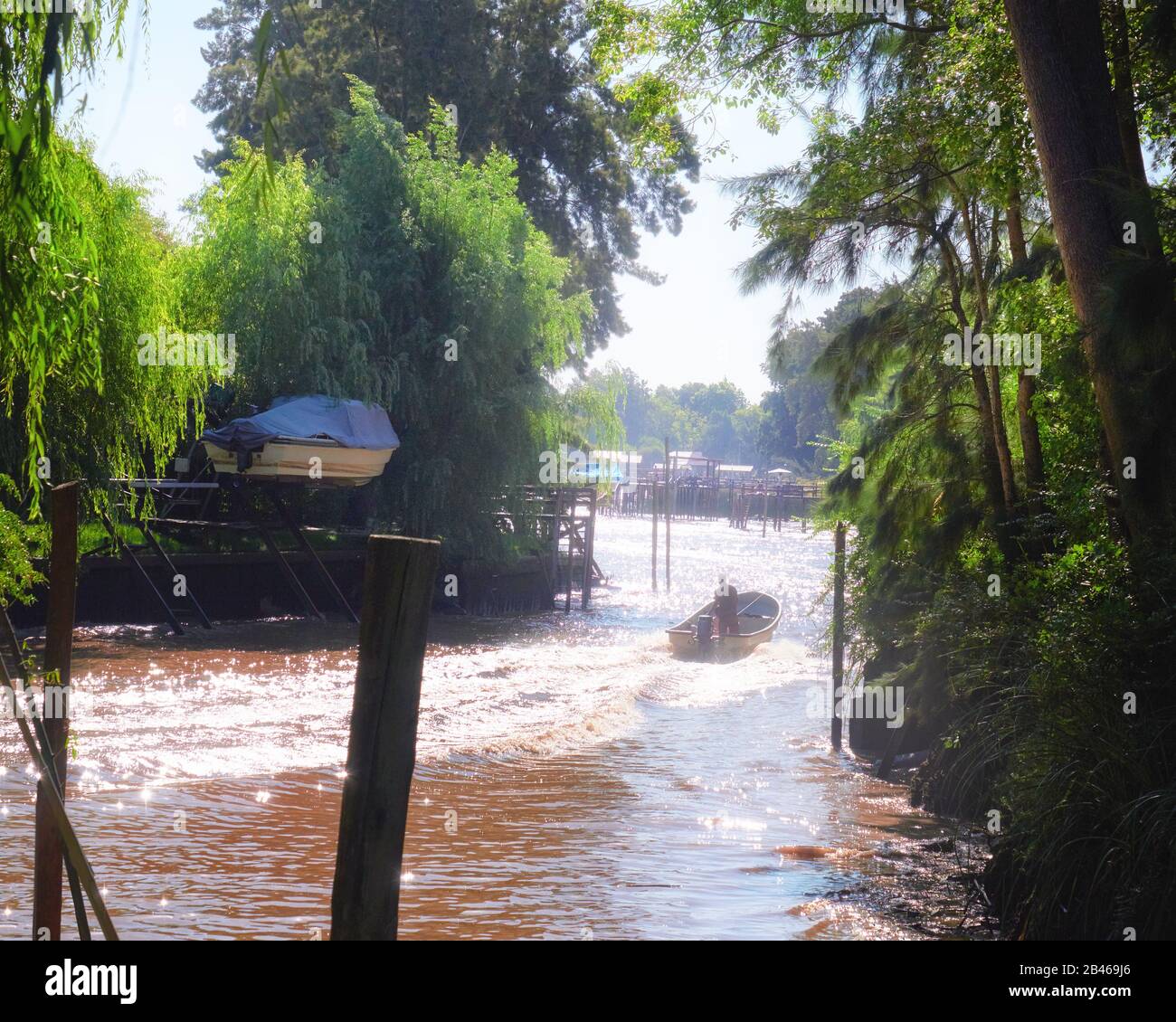 Üppige Vegetation, Motorboot auf einem schnellen Fluss. Tigra Delta in Argentinien, Kanäle und Flusssystem des Parana Delta North von der Hauptstadt Buenos Aire Stockfoto