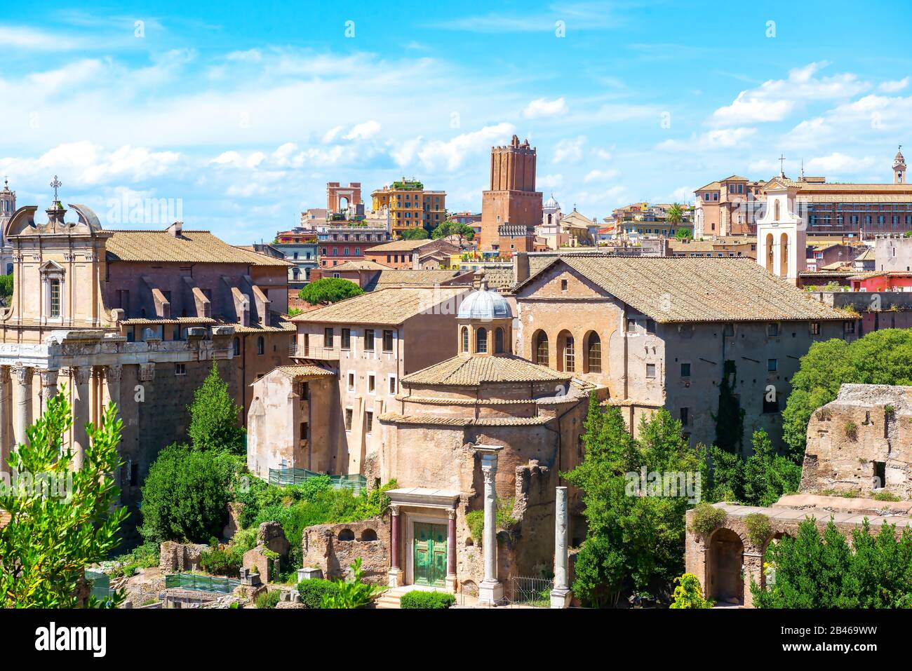 Ruinen des Forum Romanum im Sommer, Italien Stockfoto