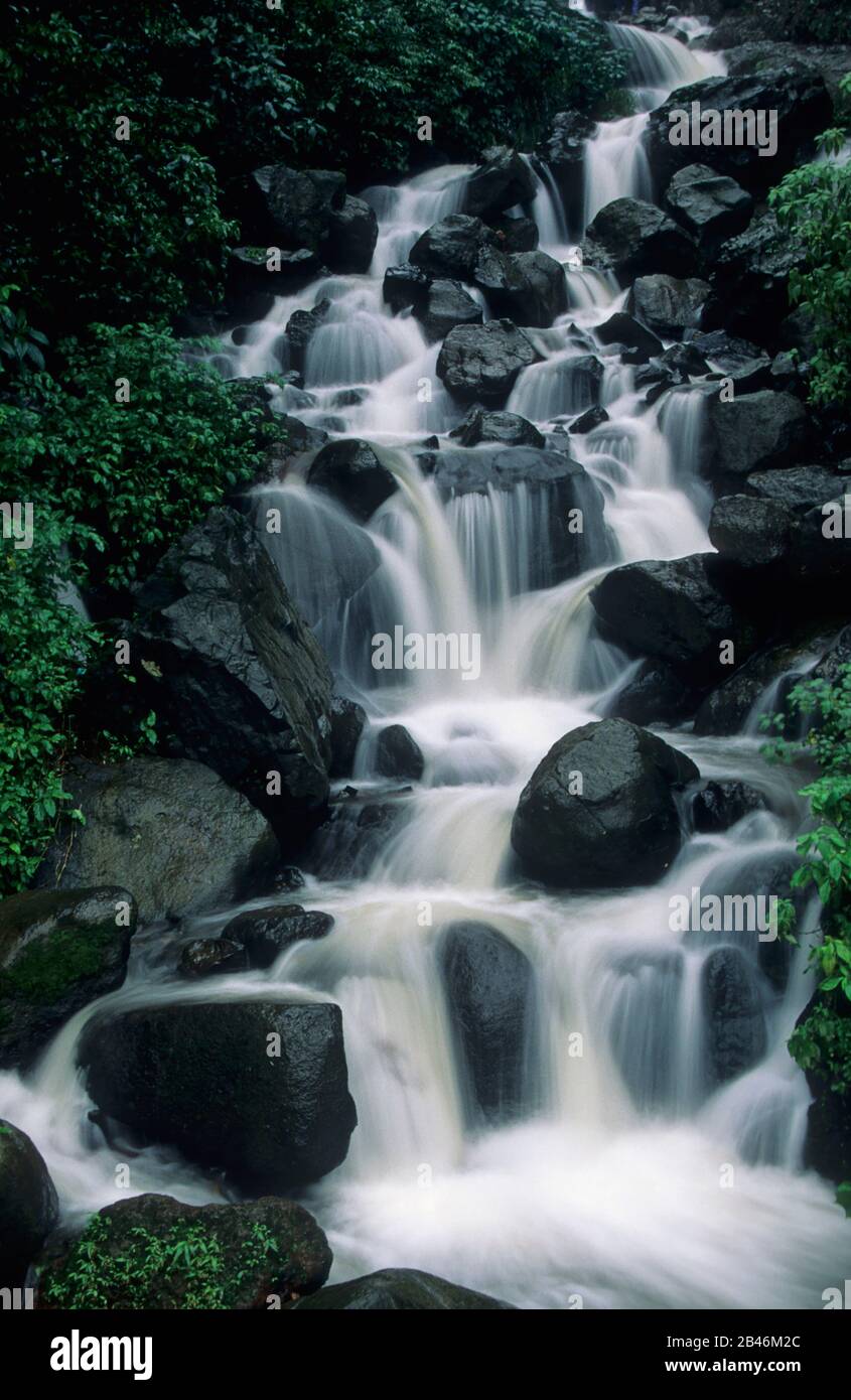 Wasserfall, amboli ghat, maharashtra, Indien, Asien Stockfoto
