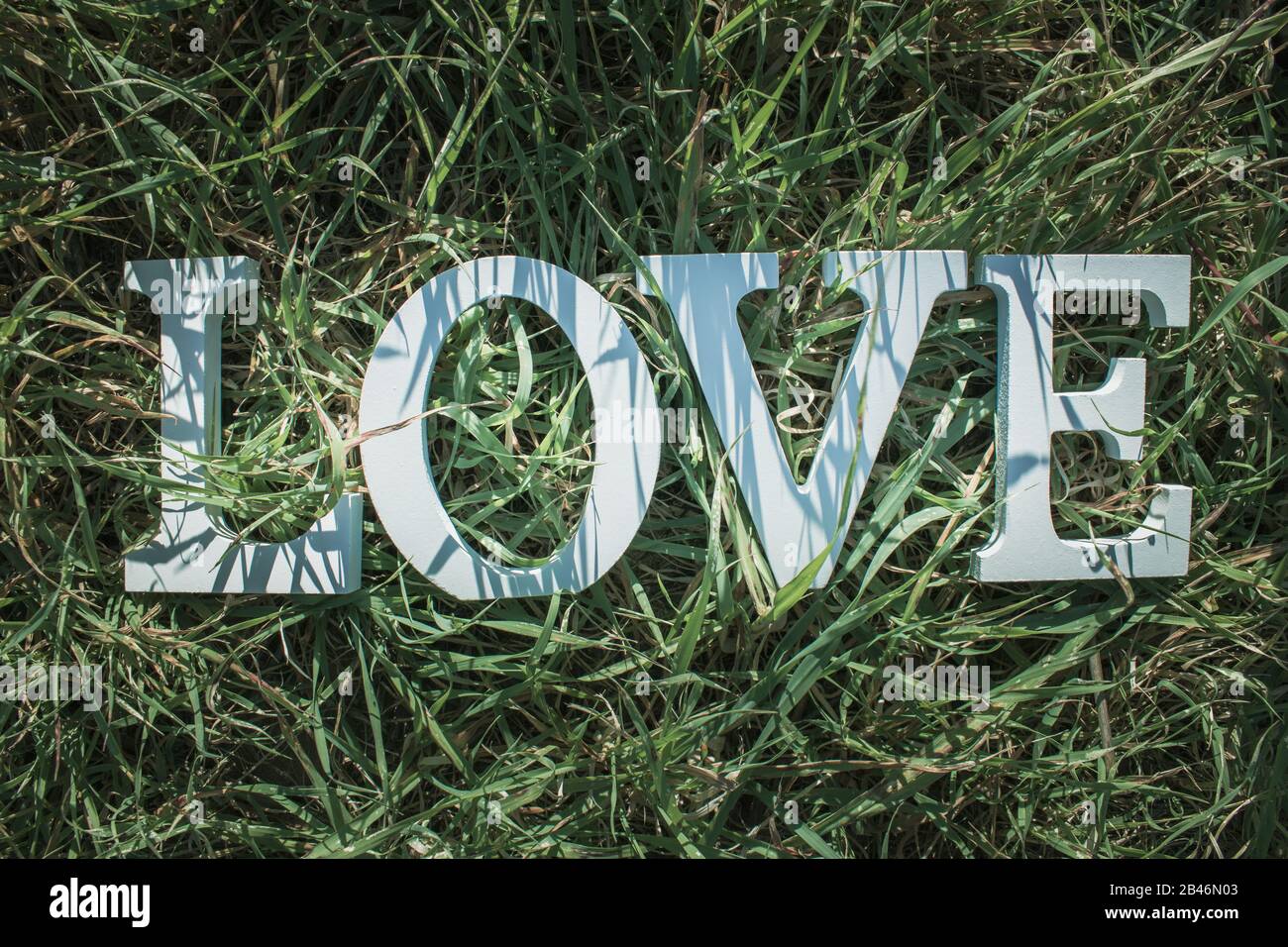 Diese Szene zeigt das Gras als Hintergrund mit einem Morgenlicht für diesen romantischen weißen Holz-Schriftzug, der das Wort Liebe in engl hervorhebt Stockfoto