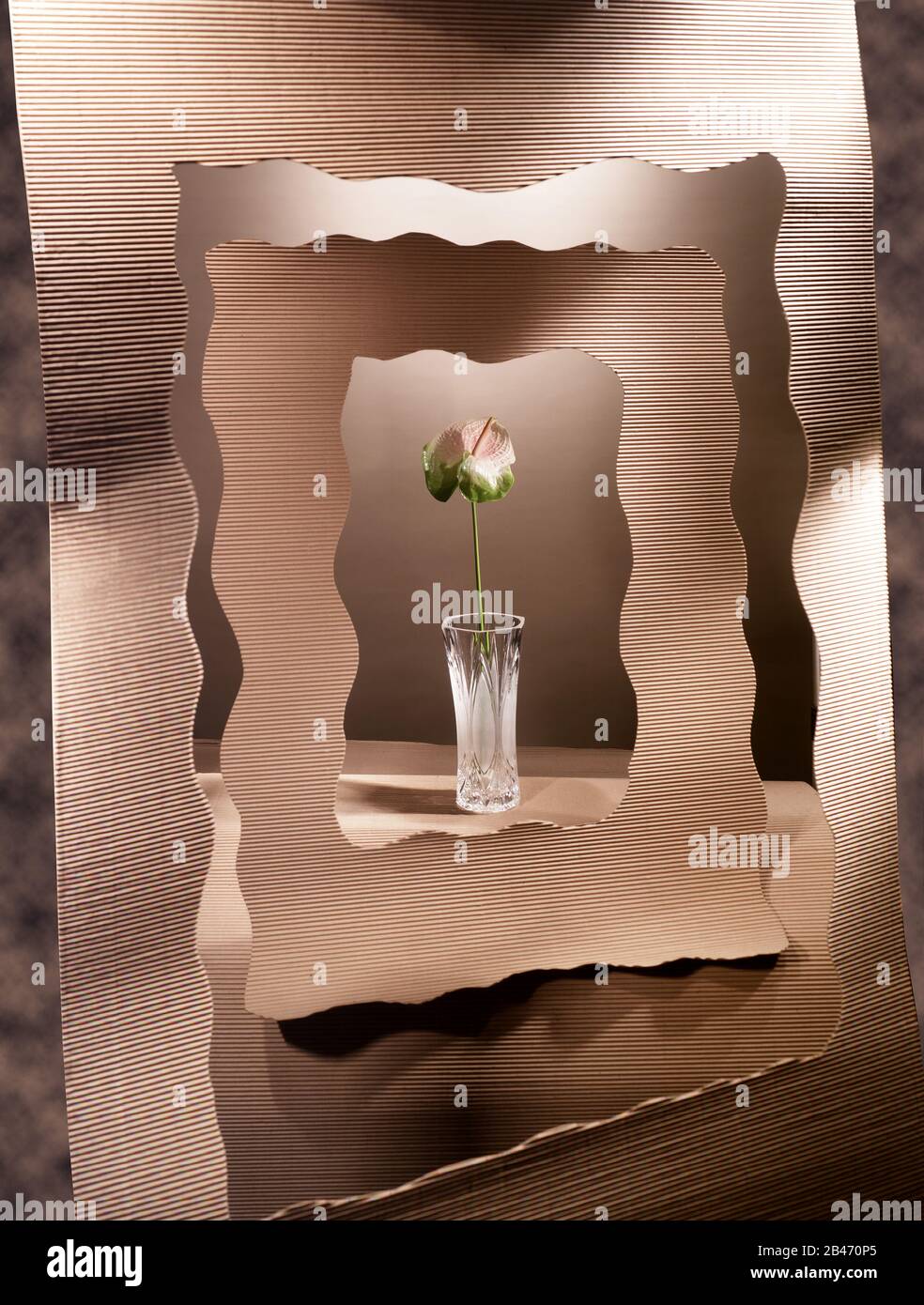 Anthurium in Glasflasche Stockfoto