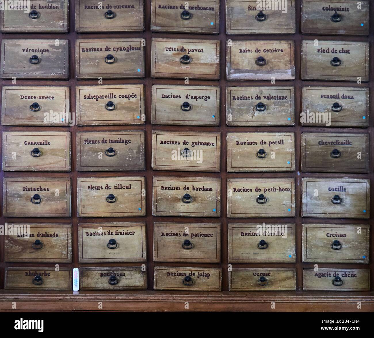 Europa, Frankreich Chalon-sur-Saône Stadt, Bourgogne-Franche-Comté, Abteilung, Kräuterkunde der historischen Apotheke im Krankenhaus Saint-Laurent, pflanzliche Medikamente Stockfoto