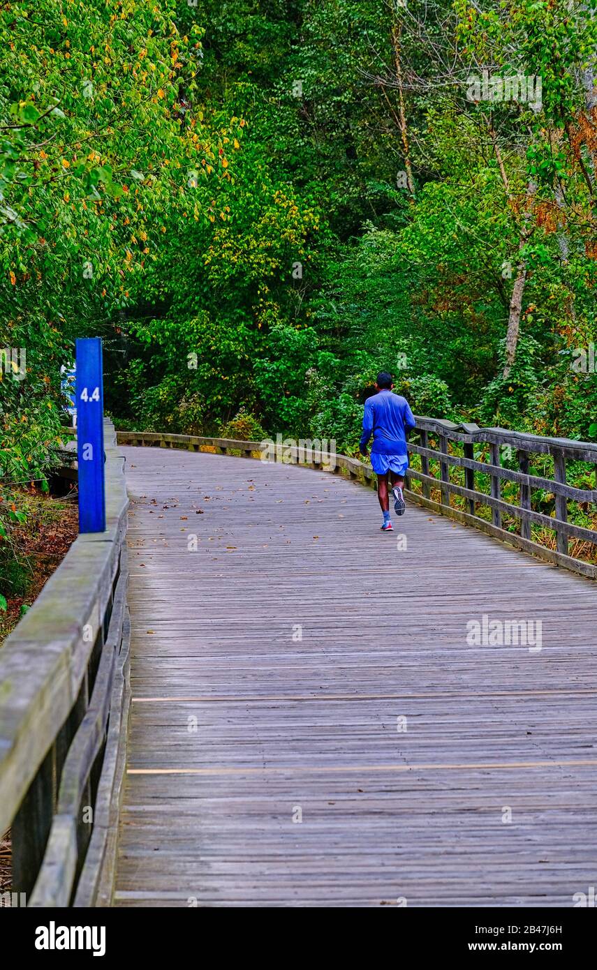 Lone Runner on Wood Trail Stockfoto