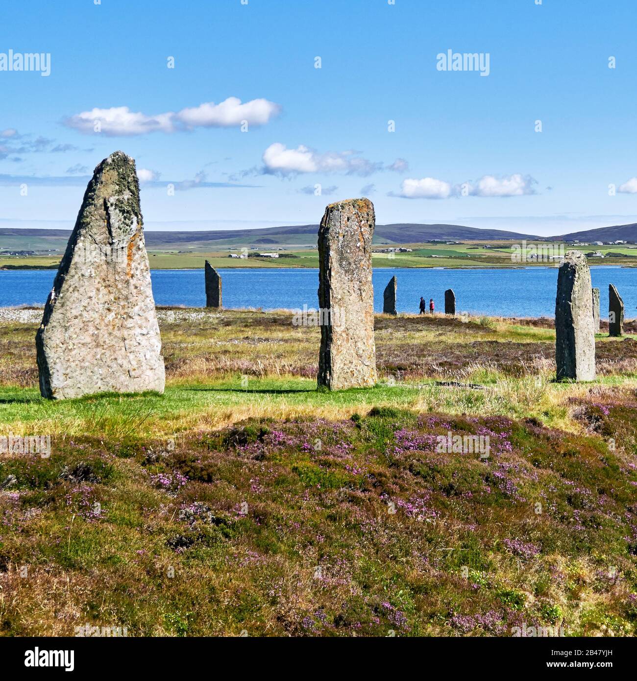 UK, Schottland, Orkney Islands ist eine Inselgruppe auf den nördlichen Inseln Schottlands, Atlantik, er ist ein alter Stein des Rings von Brodgar auf den Orkney-Inseln vor der Nordküste Schottlands. Dieses Denkmal im Herzen des neolithischen Orkney-Weltnaturerbes soll vor 4000 bis 4500 Jahren erbaut worden sein. Ursprünglich mit sechzig Steinen im Kreis über 100 Meter quer gebaut, stehen noch weniger als die Hälfte der Steine. Der höchste der Steine ist etwas mehr als 4,5 Meter groß Stockfoto