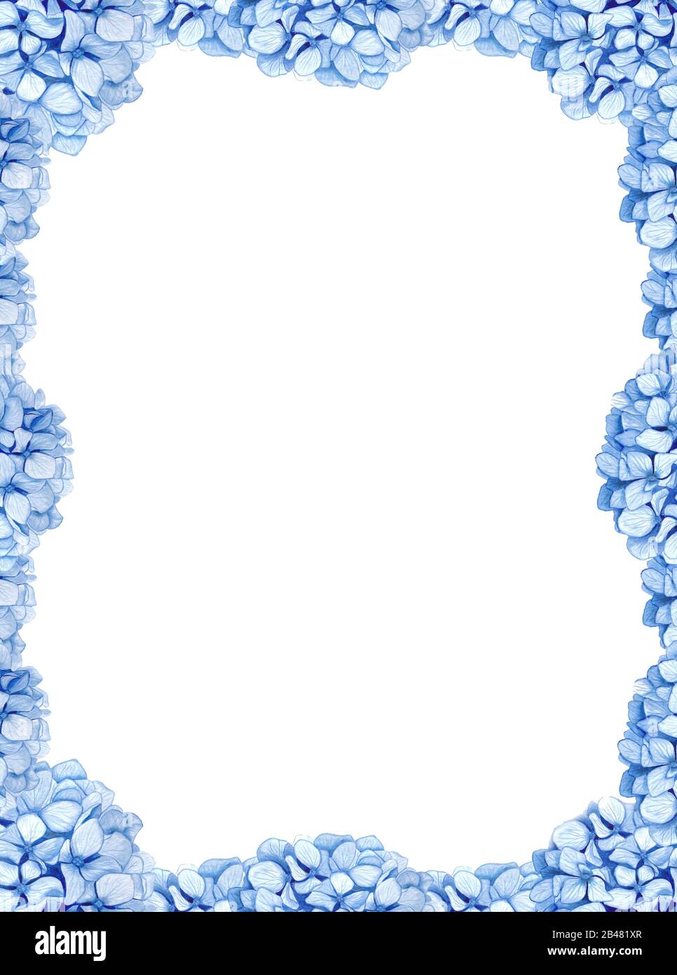 Rahmen aus weichem blauem Hydrangea auf weißem Hintergrund Stockfoto