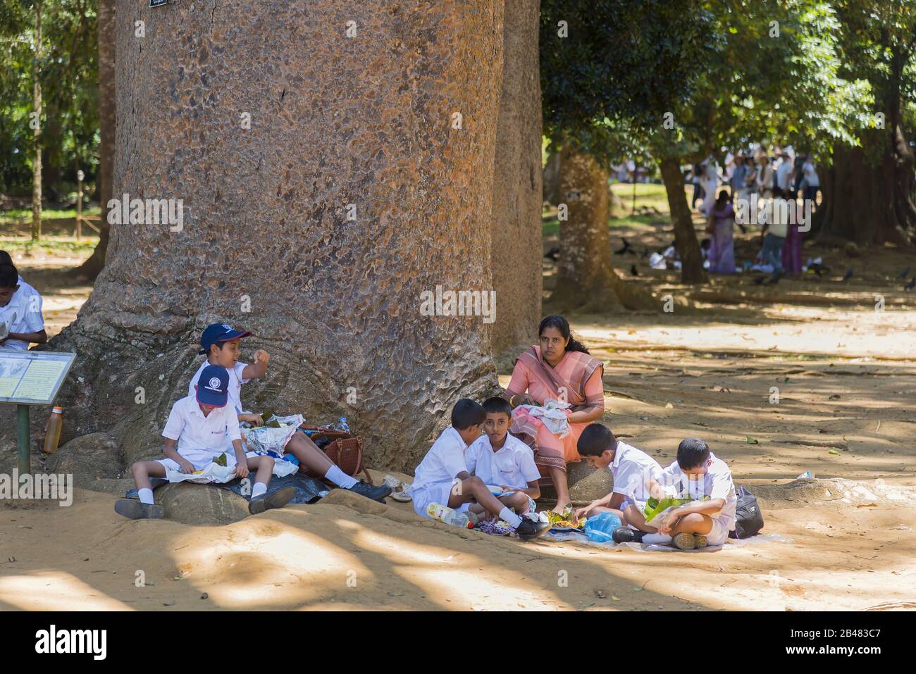 Kandy, Sri Lanka: 19.03.2019: Schulkinder und Lehrer im Botanischen Garten von Peradeniya, die unter dem Baum sitzen und Mittagessen essen. Stockfoto