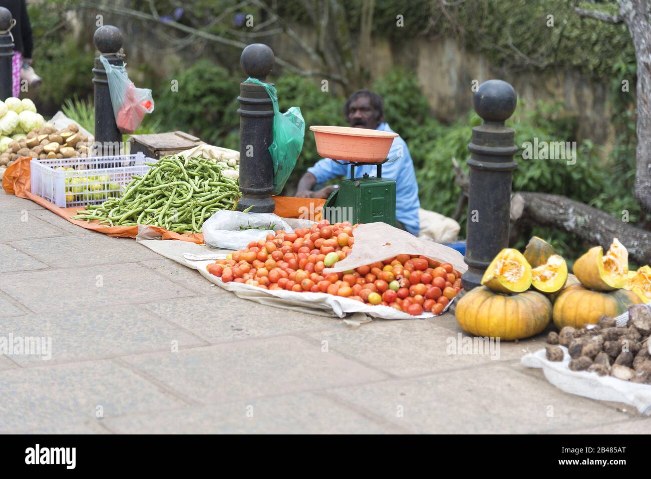 Galle Sri Lanka: 24.03.2019: Straßenhändler verkauft Obst und Gemüse am Straßenrand. Stockfoto