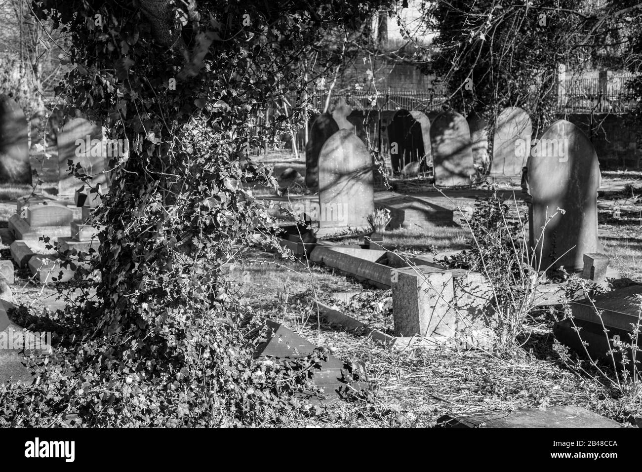 Friedhof bei Sonnenschein im Winter Stockfoto