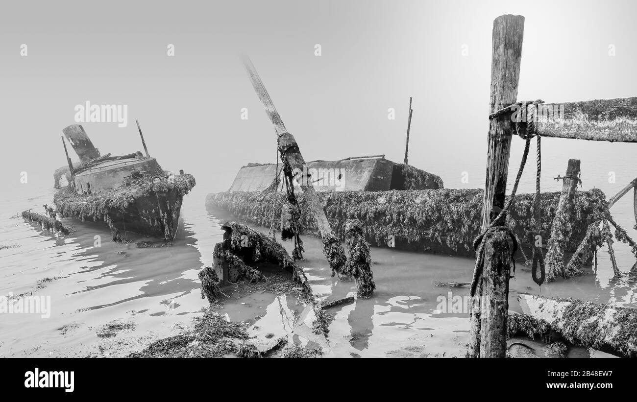 An einem kalten und nebligen Morgen in Southampton, Großbritannien, lagen die mit Algen bedeckten Wracks im flachen Wasser Stockfoto