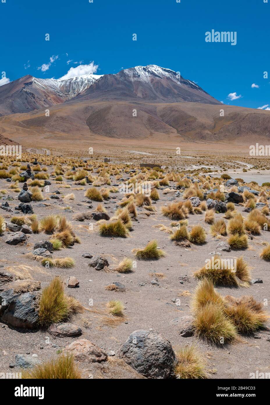 Berglandschaft im Altiplano im Süden Boliviens. Stockfoto