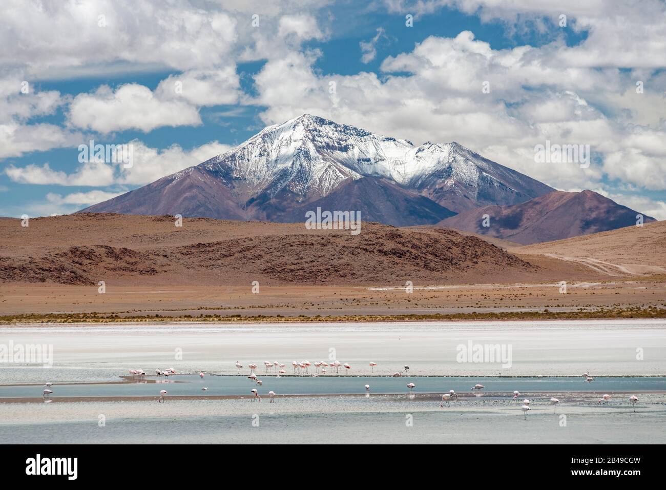 Laguna Hedionda im Andenaltiplano im Süden Boliviens. Stockfoto