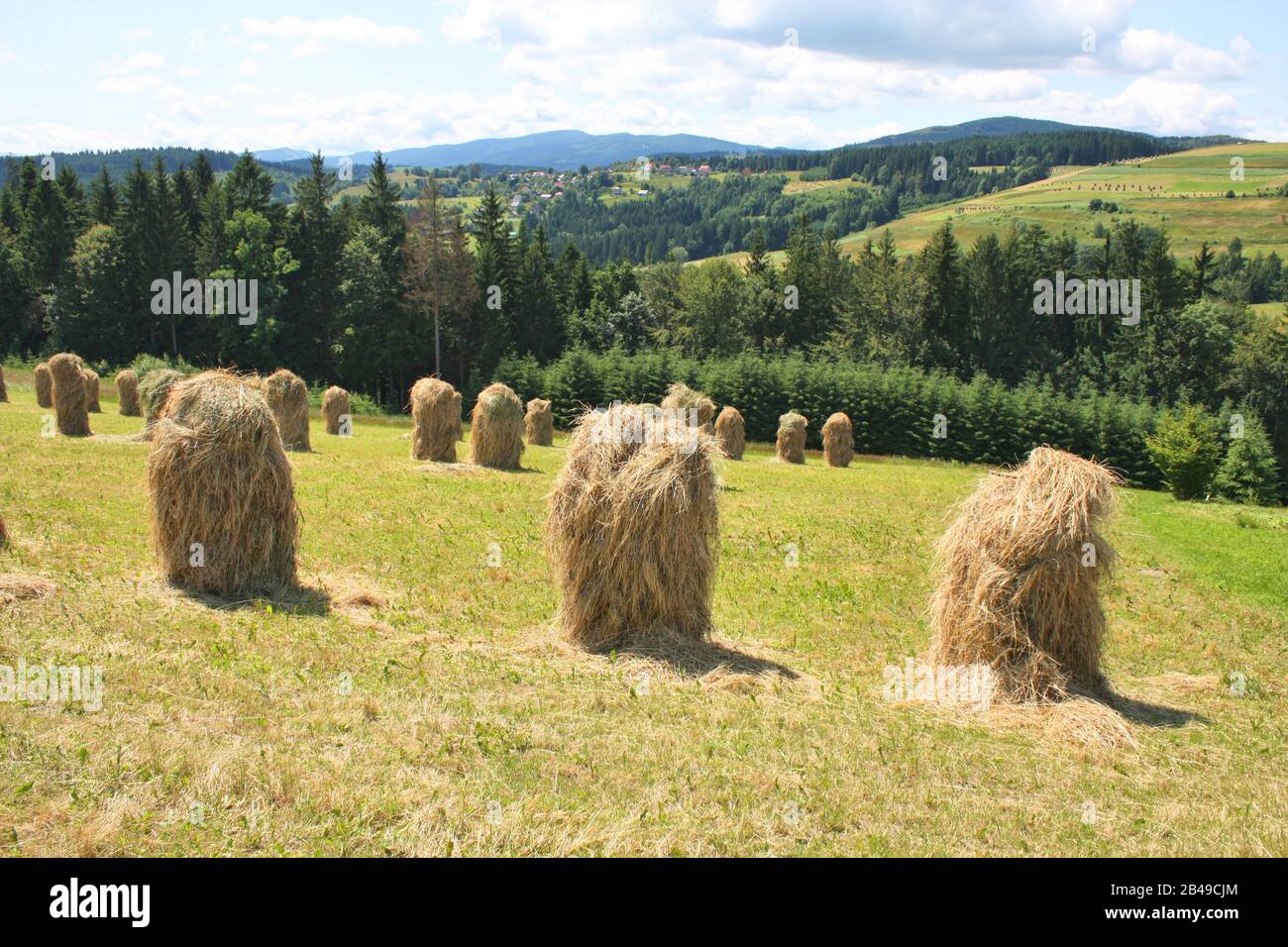 Heuhaufen auf Hochlandgrünland. Landschaft in Polen Stockfoto