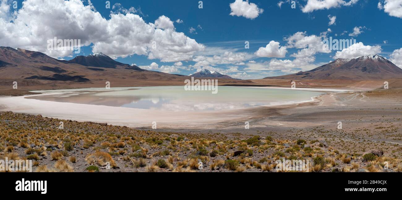 Laguna Hedionda im Andenaltiplano im Süden Boliviens. Stockfoto