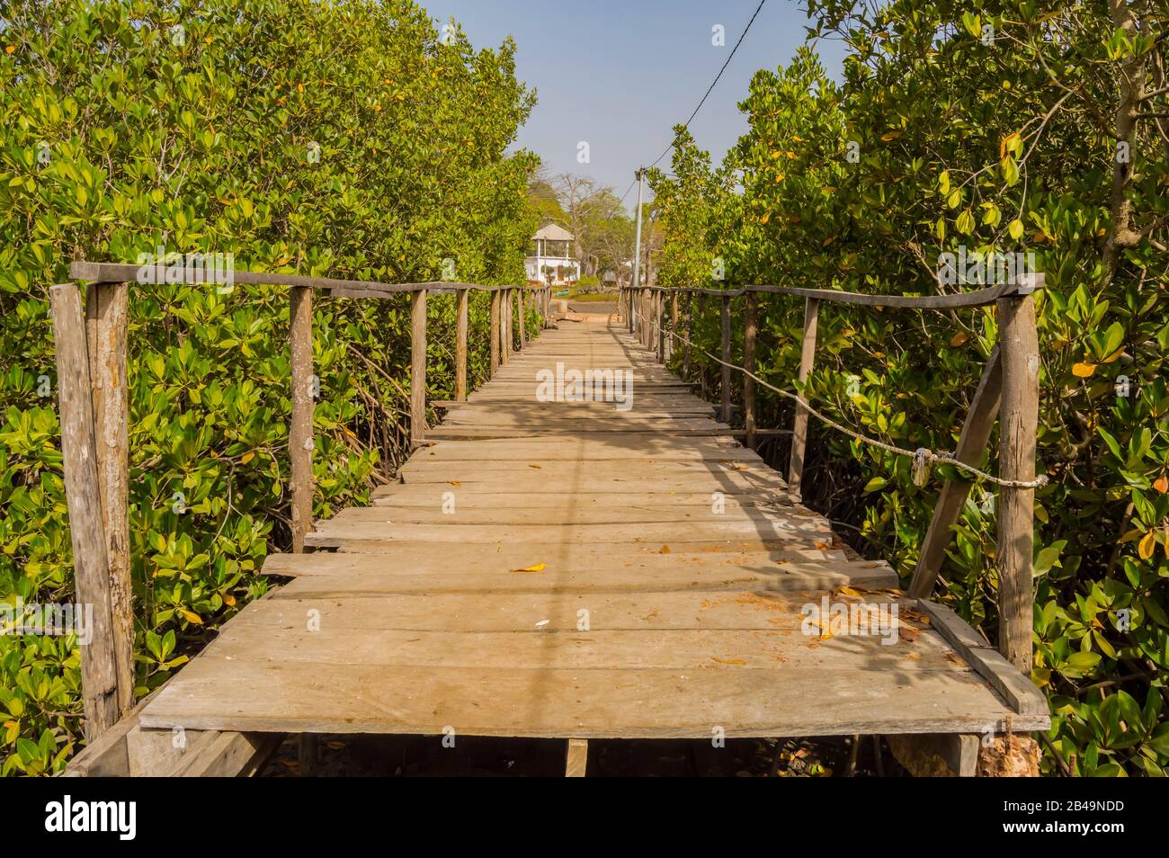 Holzlandungsstufe, die zum Gambia-Fluss und seinen Mangroven führt Stockfoto