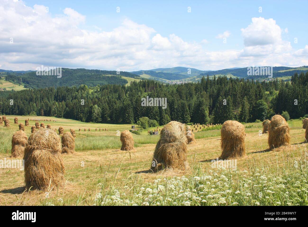 Heuhaufen auf Hochlandgrünland. Landschaft in Polen Stockfoto
