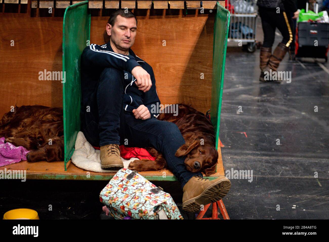 Ein irischer Setter und Besitzer schlummern am zweiten Tag der Crufts Dog Show im Birmingham National Exhibition Centre (NEC). Stockfoto
