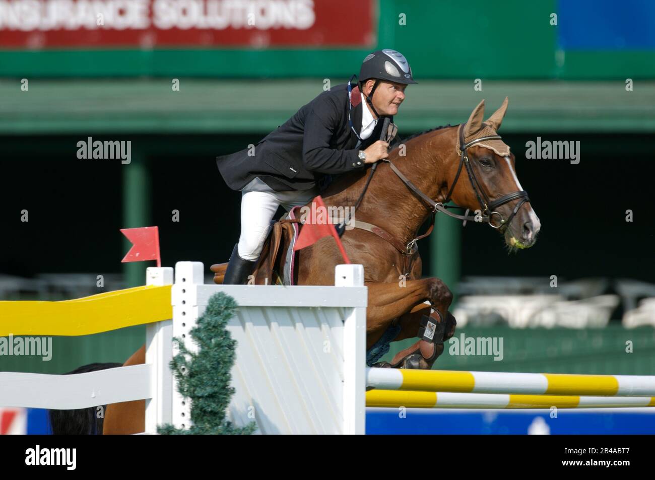 Springreiten engemann -Fotos und -Bildmaterial in hoher Auflösung – Alamy