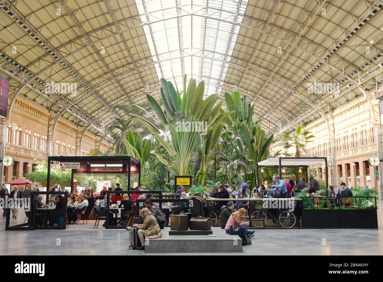 innen-plaza im alten Atocha-Bahnhof, Madrid, Spanien. Entspannen Sie sich in Geschäften, Cafés und im tropischen Garten. Passagiere, die auf abfahrende Züge warten. Stockfoto