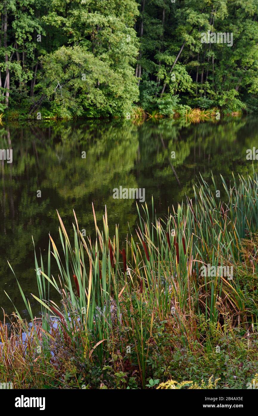 Frankreich, BasRhin, Parc regionale des Vosges du nord (regionaler