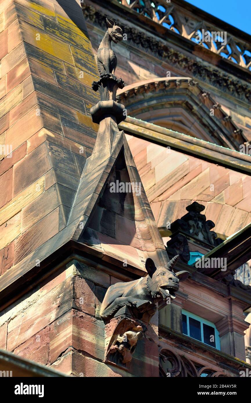 Frankreich, Bas Rhin, Straßburg, Altstadt, die von der UNESCO zum Weltkulturerbe erklärt wurde, Kathedrale Notre Dame, Südfassade, Chimären und Wasserspeier auf einer fliegenden Buttress, Einhorn Stockfoto