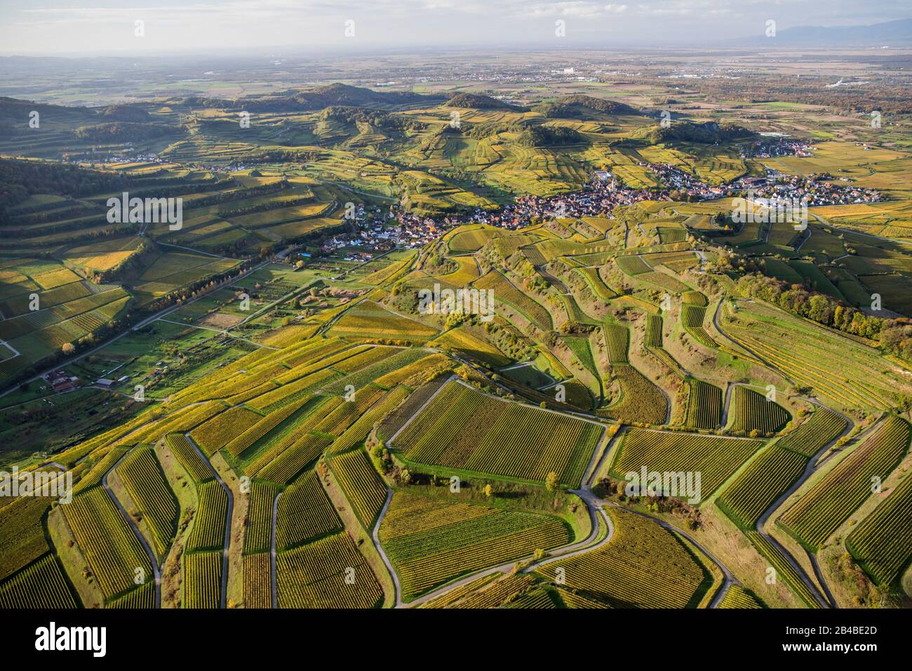 Deutschland, Baden-Württemberg, Breisgau-Hochschwarzwald, Schwarzwald (Schwarzwald), Region Kaiserstuhl, Vogtsburg (Luftbild) Stockfoto