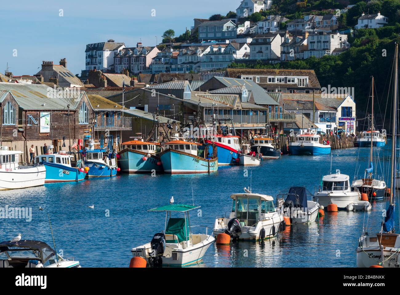 Großbritannien, England, Cornwall, Looe, River Looe, Hafen, Boote Stockfoto