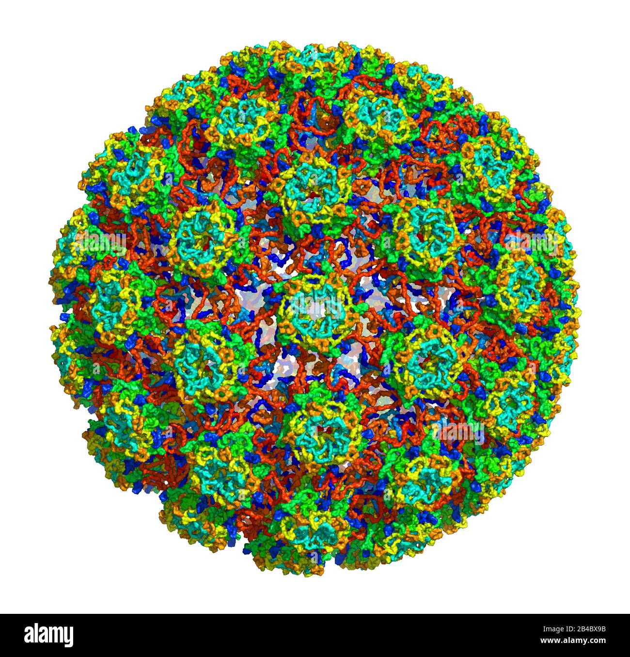 3D-Struktur des humanen Papillomavirus Typ 16, assoziiert mit Krebserkrankungen. PDB 3J6R Stockfoto