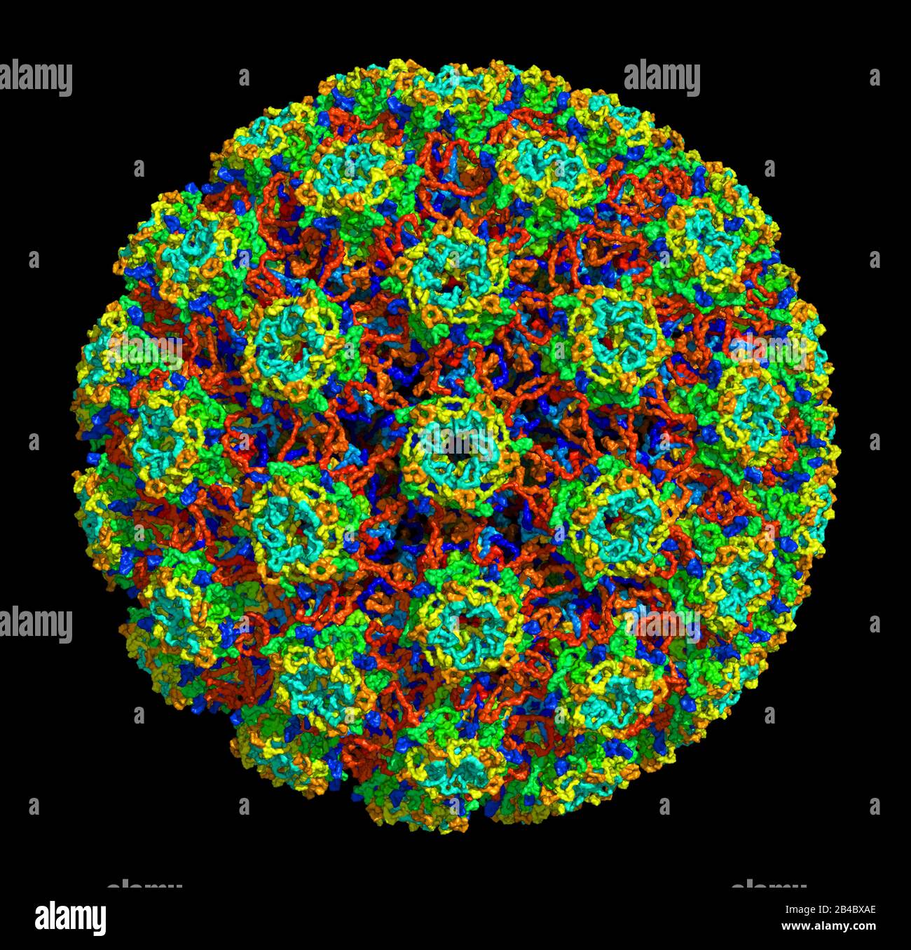 3D-Struktur des humanen Papillomavirus Typ 16, assoziiert mit Krebserkrankungen. PDB 3J6R Stockfoto