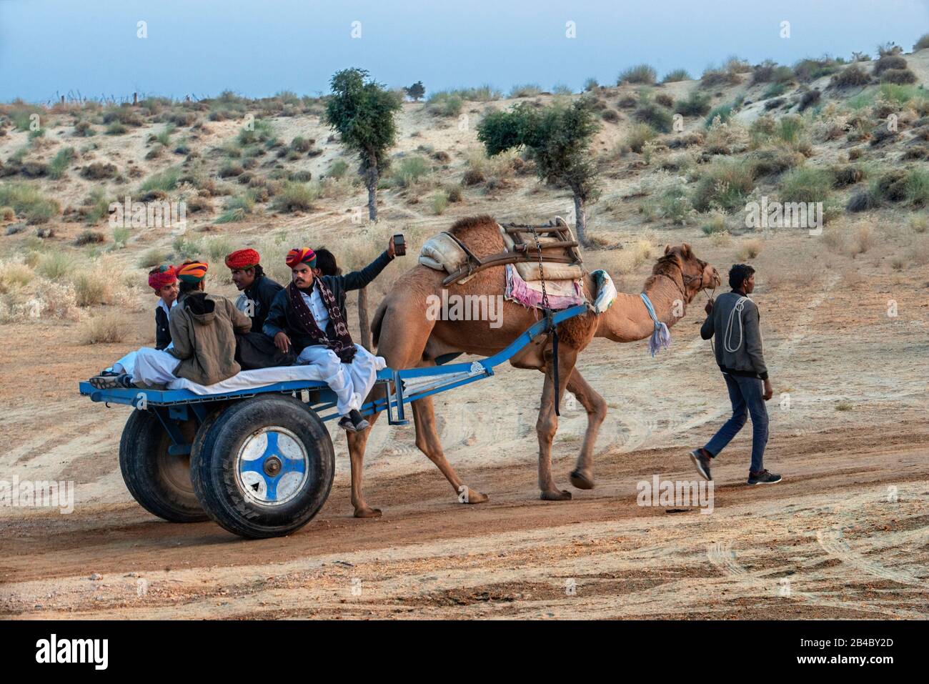 Kamel zieht eine Kutsche in der weißen Wüste in Gujarat und Rajasthan Rajasthan Indien. Kamel- und Pferdekarren sind beliebte Touristenattraktionen für Besucher Stockfoto