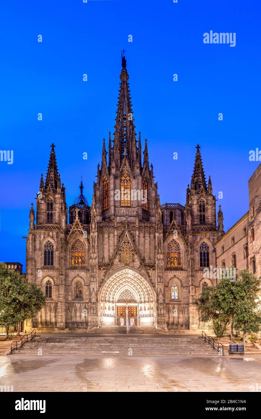 Nacht Blick auf die Kathedrale des Heiligen Kreuz und der Heiligen Eulalia, Barcelona, Katalonien, Spanien Stockfoto