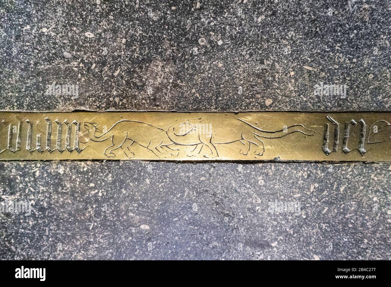 Zwei Sauropod-Dinosaurier, die auf der Gedenkbläser für Bischof Bell (gestorben 1496) in der Kathedrale von Carlisle, Cumbria UK, abgebildet sind Stockfoto