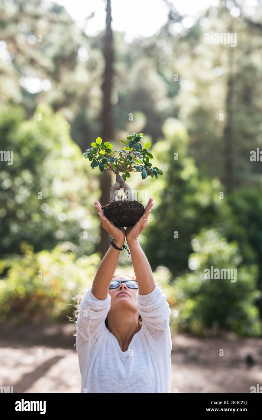 Das Konzept der Menschen sagt Nein zur Entwaldung und zur Rettung des Planeten und der Bäume - Respekt für die Natur und Pflege unserer Zukunft - die Feier des Erdtags mit wenig Baum im Wald - Umwelt im Freien Stockfoto