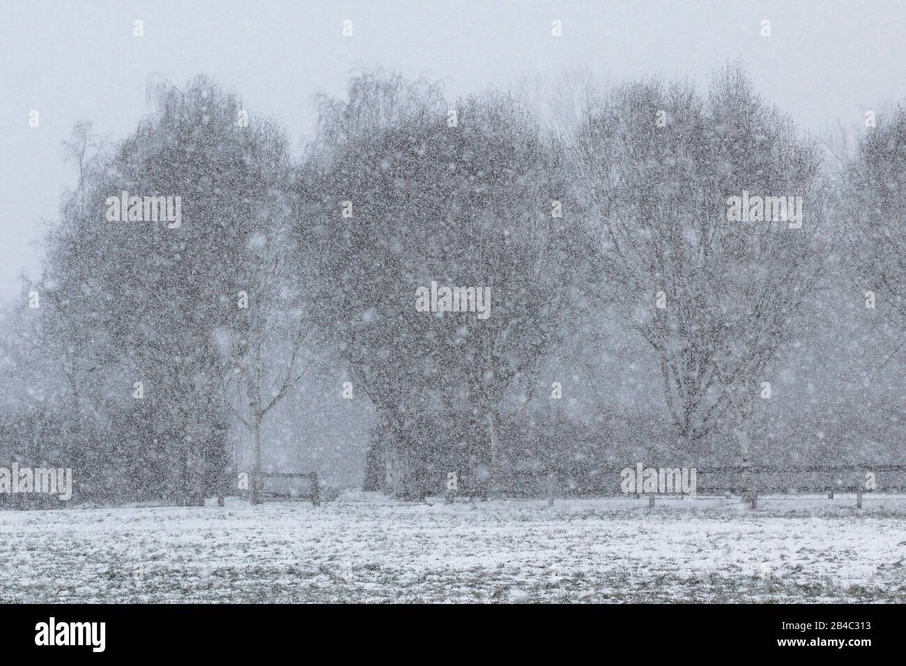 Schneeflocken fallen auf eine bereits schneebedeckten Feld Stockfoto