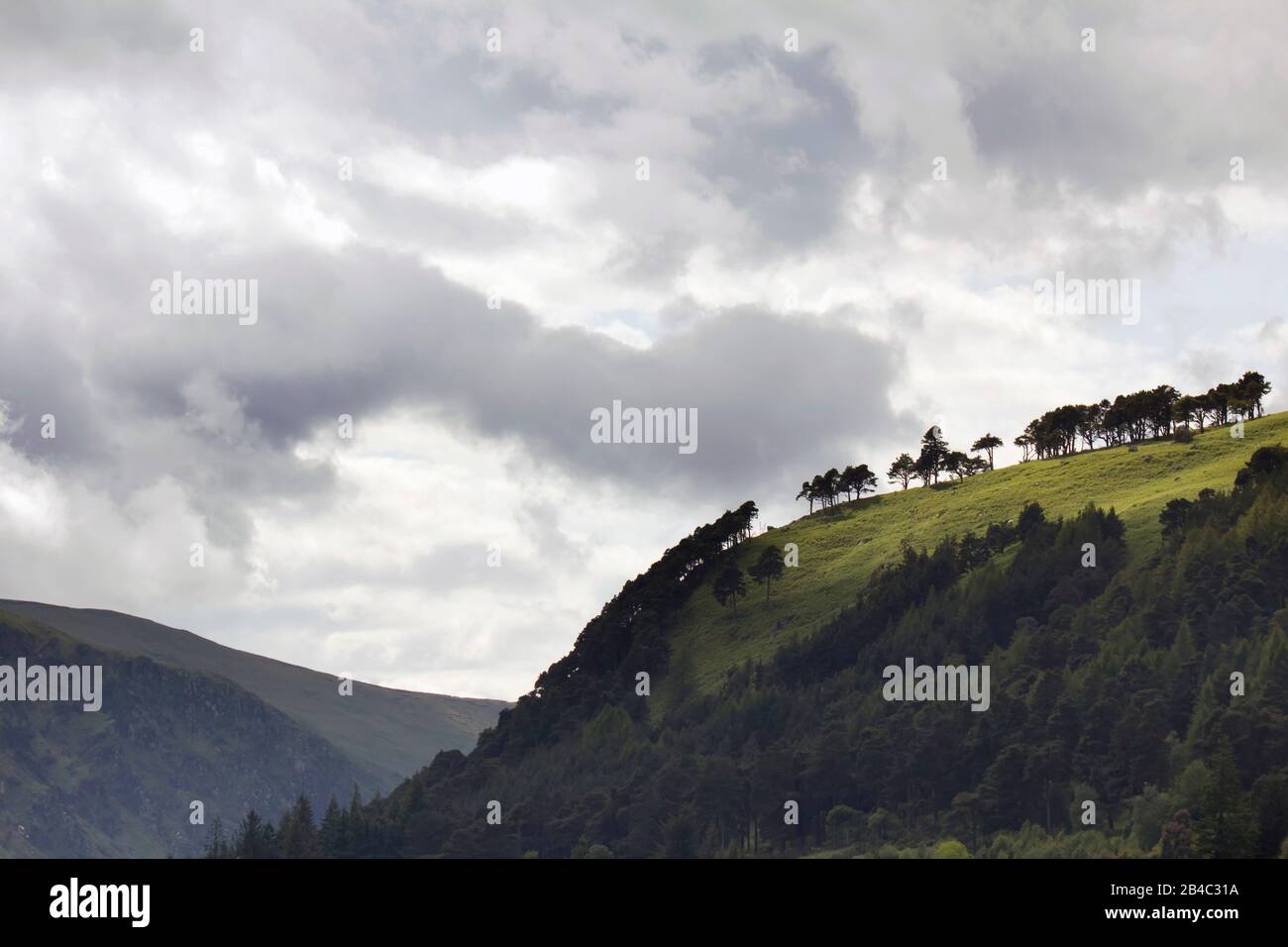 Toursit in Irland Stockfoto