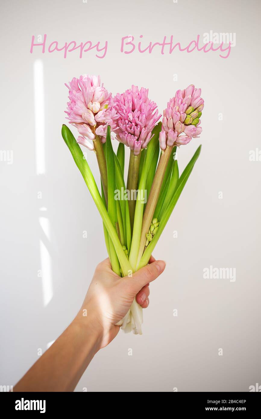 Weibliche Hand hält Frühlingsblumen auf weißem Grund. Frischer Blumenstrauß mit rosafarbenen Hyazinths. Frühling, sonniger Tag, Schatten vom Fenster. Schriftzug "Happy" Stockfoto