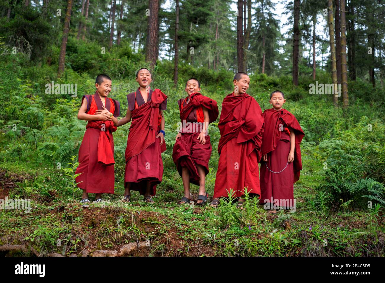 Glückliche Monks springen Gangtey Dzong Kloster Gangten Dorf Phobjikha Valley Bhutan. Das Kloster Gangteng, allgemein bekannt als Gangtey Gonpa oder Gangte Stockfoto