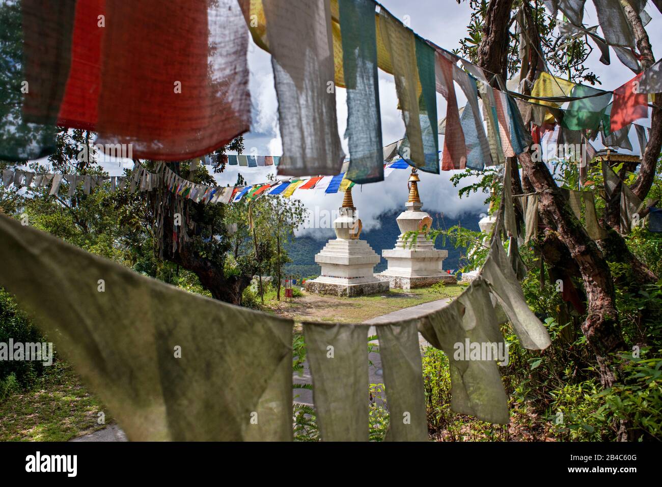 Stupas und Gebetfahnen im Nalanda Buddhist Institute oder Daley Goenpa oder Dalida im Distrikt Punakha, Bhutan, Asien. Nalanda Buddhist Institute, auch Kn Stockfoto